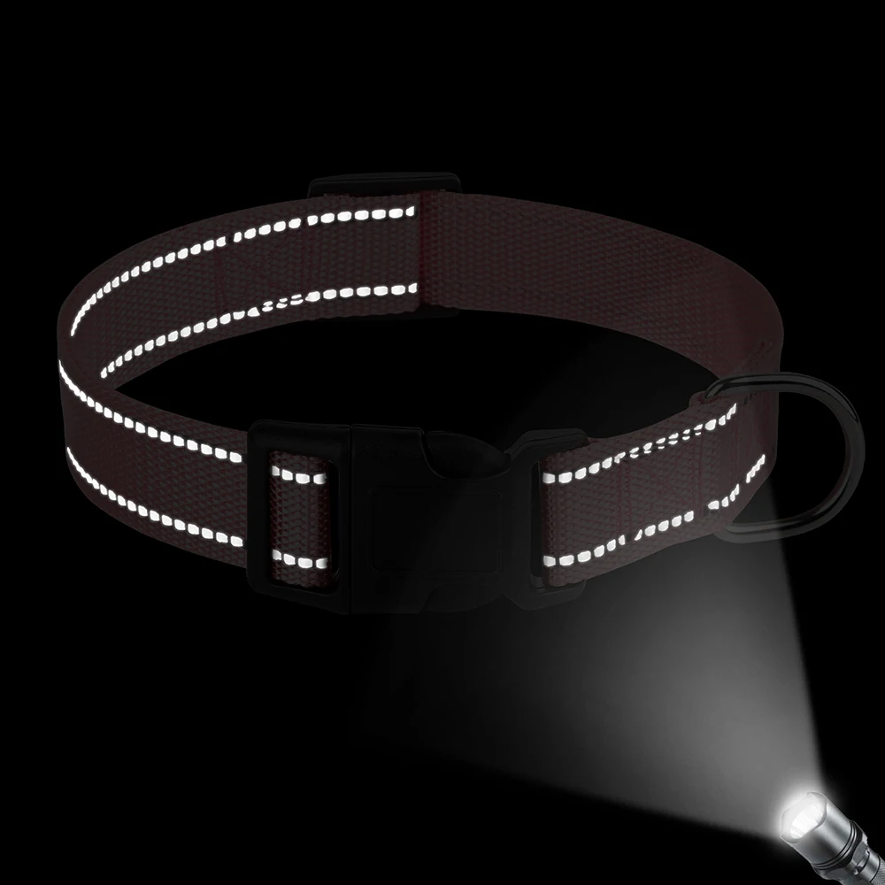 Dog Collar - 18540 35ocgt.jpg