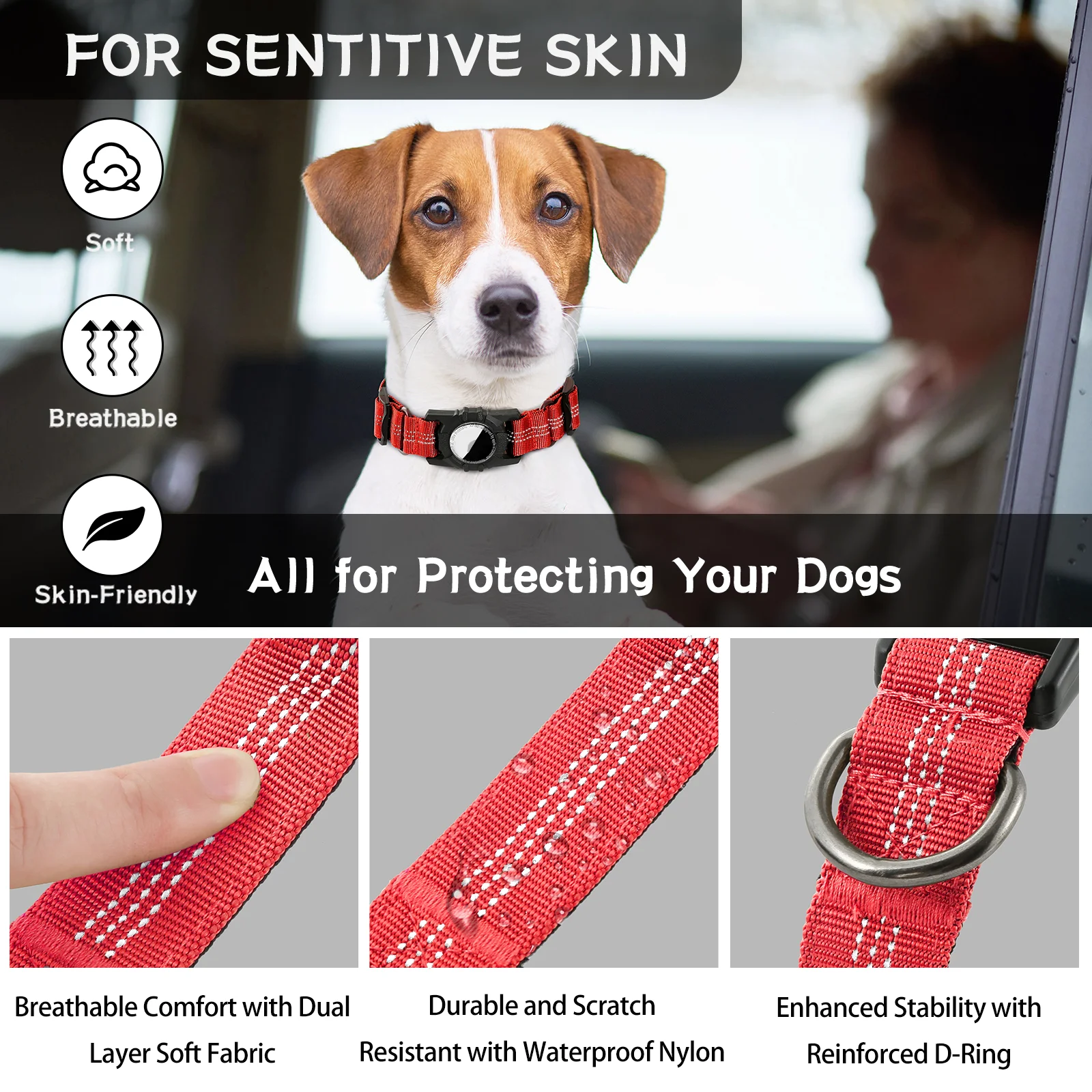 Dog Collar - 18573 wo48cd.png