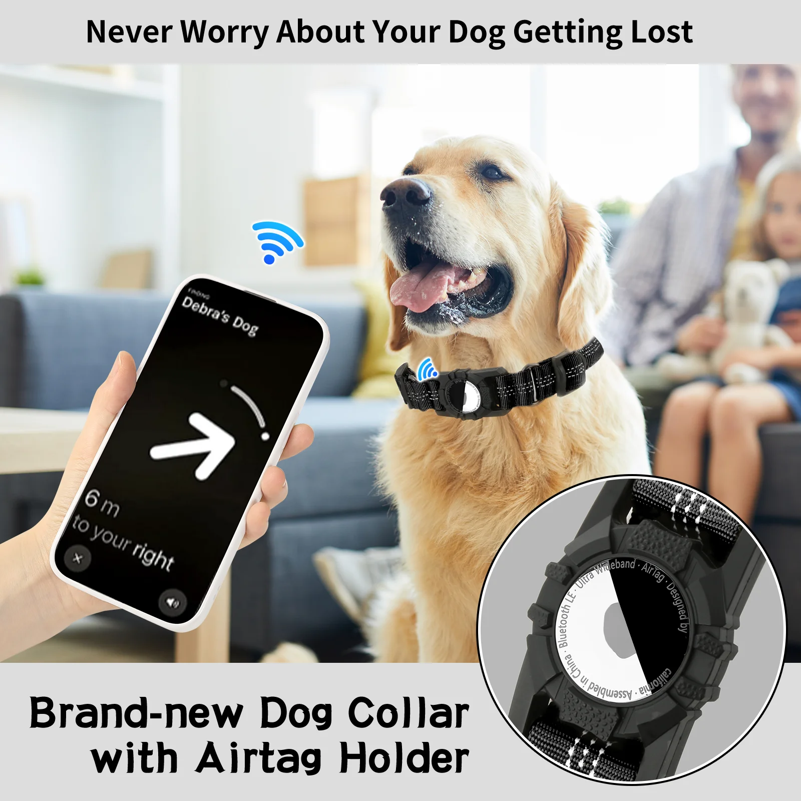 Dog Collar - 18573 x91qhl.png