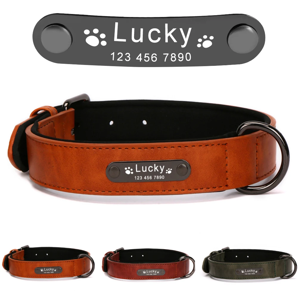 Dog Collar - 19126 9jqtjw.jpg