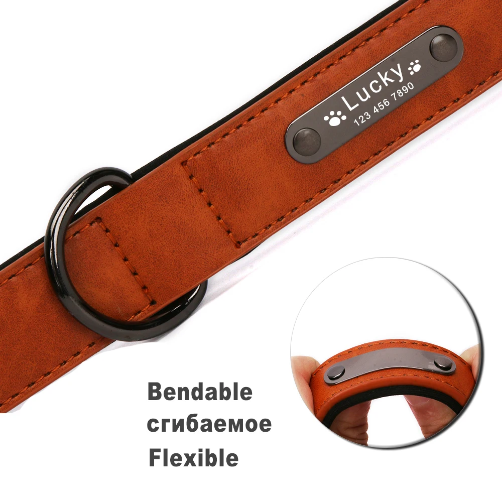 Dog Collar - 19126 cucyuw.jpg