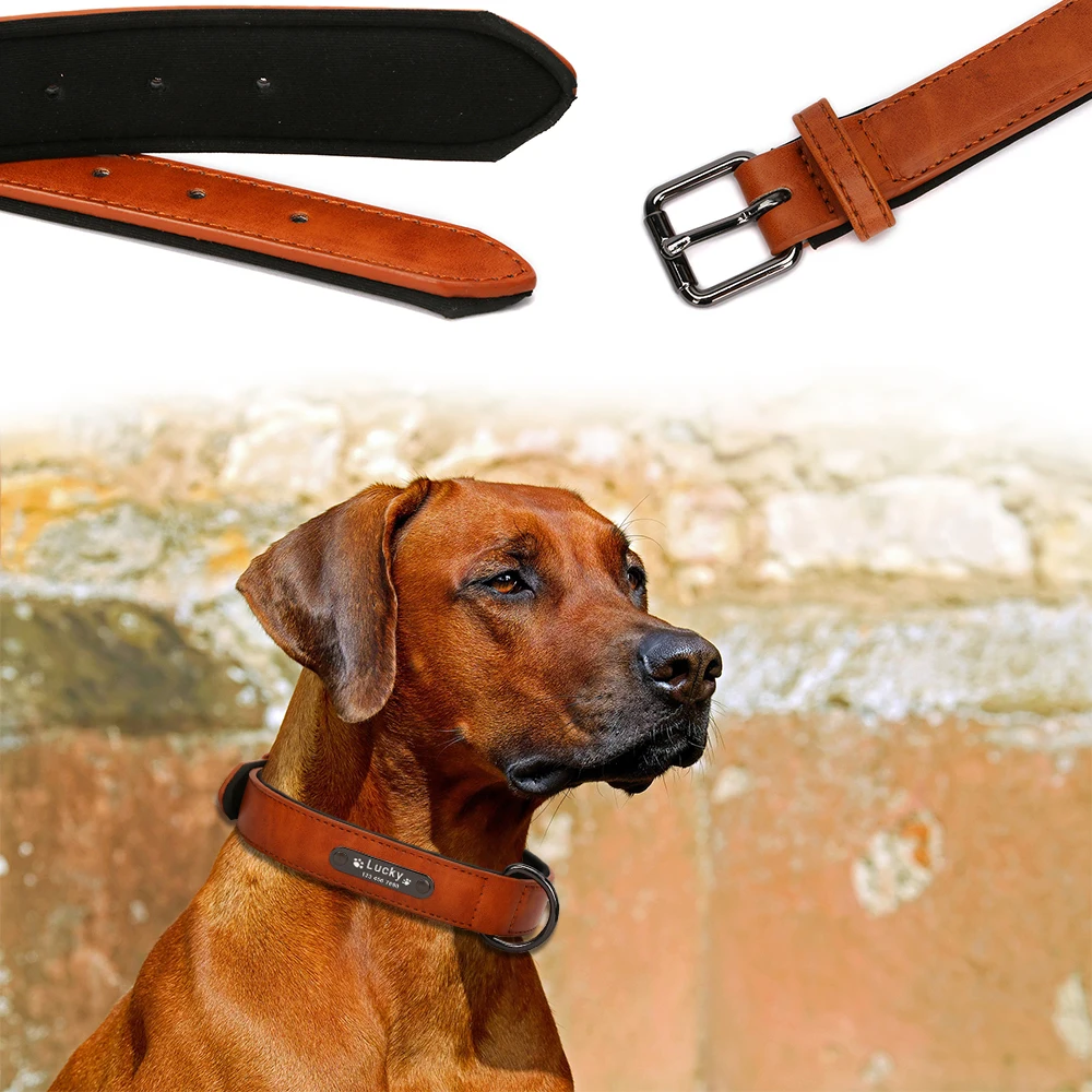 Dog Collar - 19126 duzsnx.jpg