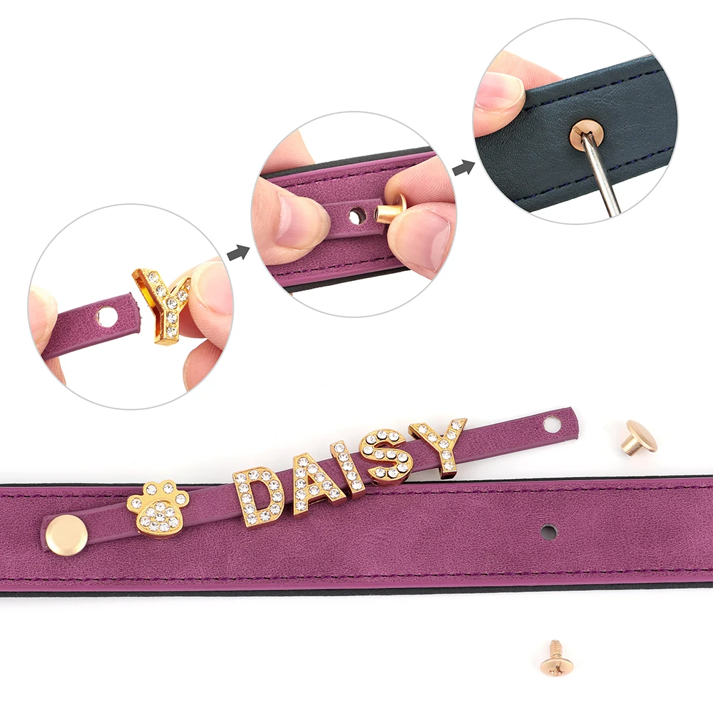Dog Collar - 23973 mujgyt.jpg