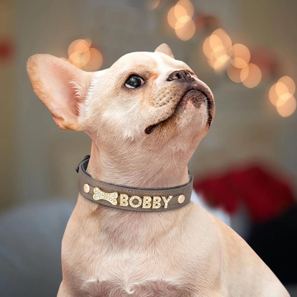 Dog Collar - 23973 ofjl26.jpg