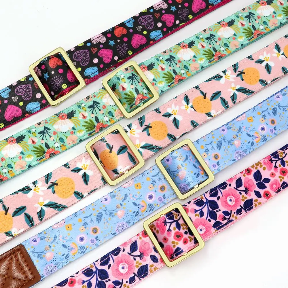 Dog Collar - 24620 1abnw9.jpg