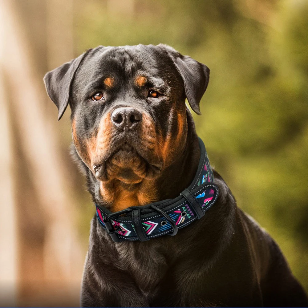 NightGlow Adjustable Reflective Nylon Dog Collars