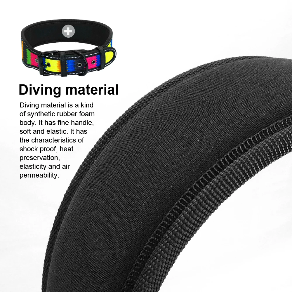 Dog Collar - 29002 kt2x1c.jpg