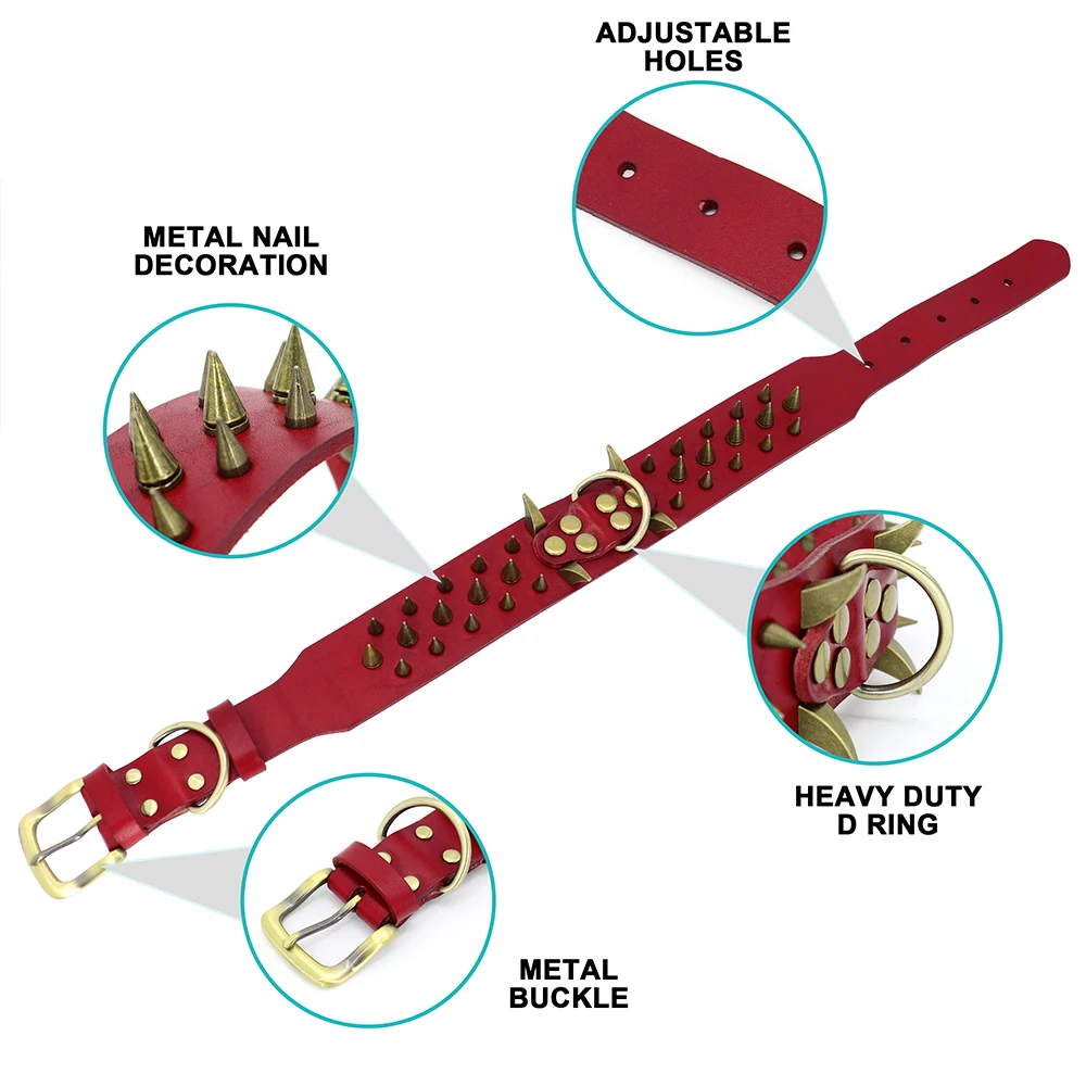 Dog Collar - 29371 0qbyfl.jpg