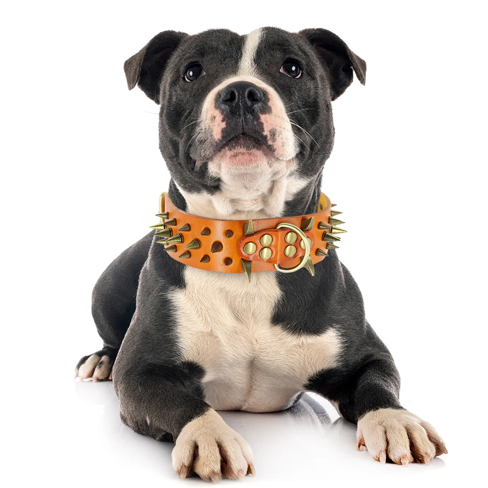 Dog Collar - 29371 vbu35z.jpg